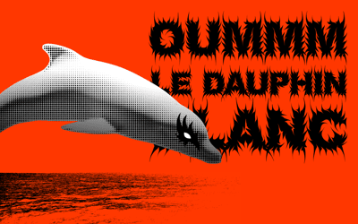 Oummm le dauphin blanc